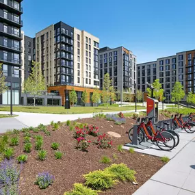 Bild von Banner Lane