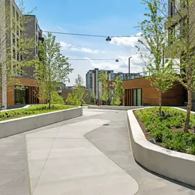 Bild von Banner Lane