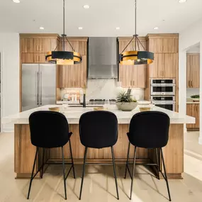 Well-appointed gourmet kitchen