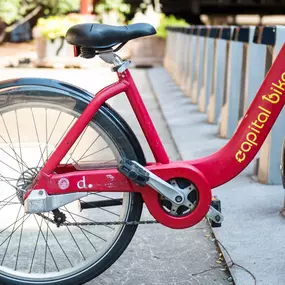 Take advantage of Capital Bikeshare or bring your own bike to downtown or a nearby park