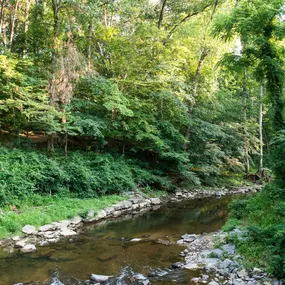 Stay active at the state parks and recreation opportunities abound