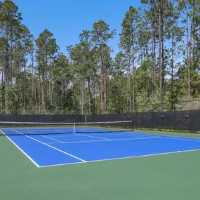 Enjoy competitive tennis and pickleball courts