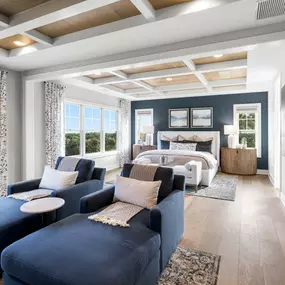 Serene primary bedrooms