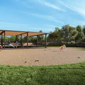 Community dog park
