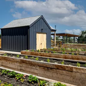 Community garden