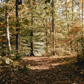Miles of community walking trails