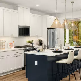 Stunning kitchen of the Daisy home design opens to the covered patio