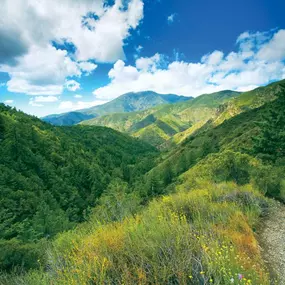 Nearby walking and hiking trails