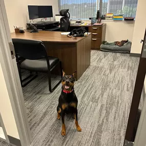 Our team is ready to fetch you the insurance coverage for your unique needs! Call us today.