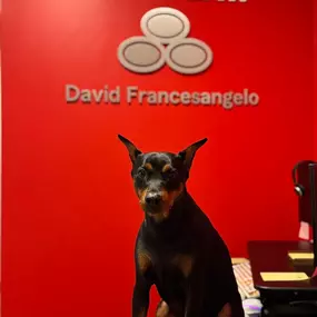 Call our team to make your insurance experience woof-while! We are always here to help.