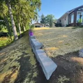 Bild von Bernal Landscape Management