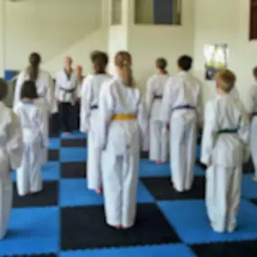 Bild von Shiba Taekwondo