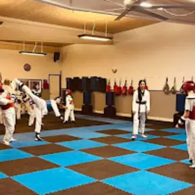 Bild von Shiba Taekwondo