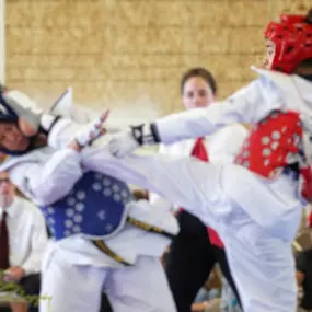 Bild von Shiba Taekwondo