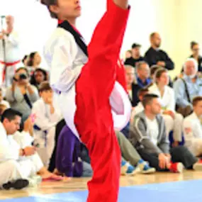 Bild von Shiba Taekwondo