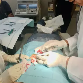 Bild von Clinica Medica La Salud - Norwalk