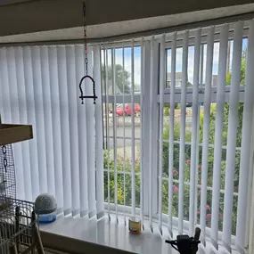 Bild von Blinds with BLU