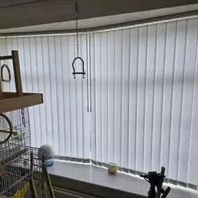 Bild von Blinds with BLU