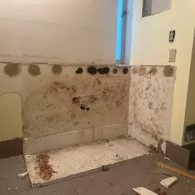 Bild von Edwards Property Remediation