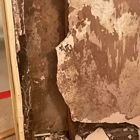 Bild von Edwards Property Remediation