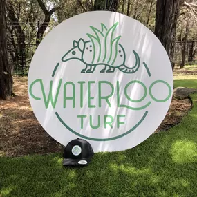 Bild von Waterloo Turf Austin