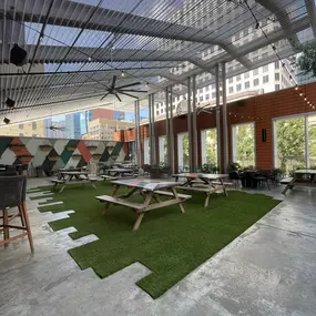 Bild von Waterloo Turf Austin
