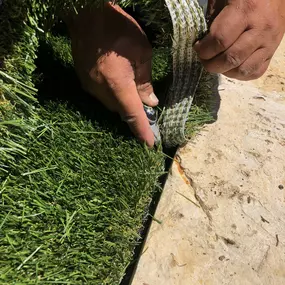 Bild von Waterloo Turf Austin
