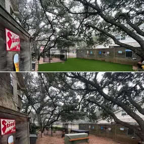 Bild von Waterloo Turf Austin