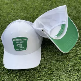 Bild von Waterloo Turf Austin