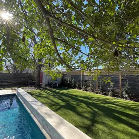 Bild von Waterloo Turf Austin