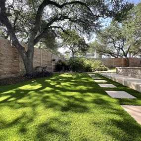 Bild von Waterloo Turf Austin