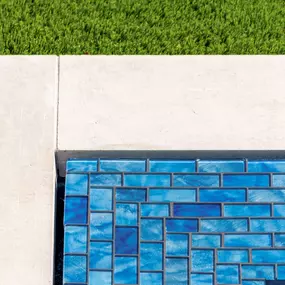 Bild von Waterloo Turf Austin