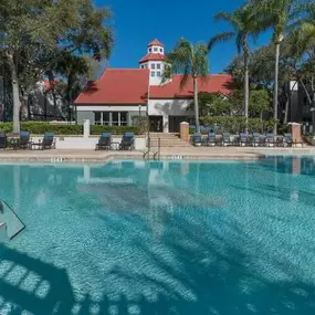 Blue Cool Swimming Pool