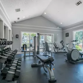The gym