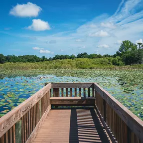 Bild von Lake Griffin Reserve