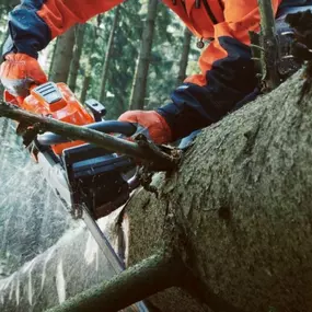 Ernst Baumgartner AG