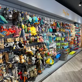 Pets Corner Tonbridge Interior