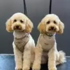 Bild von The Parlour