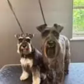 Bild von The Parlour