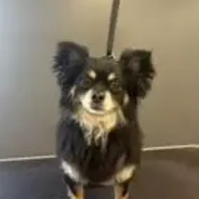 Bild von The Parlour