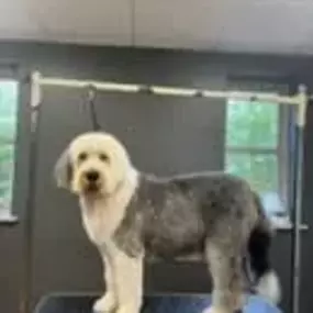 Bild von The Parlour