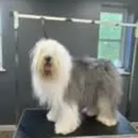 Bild von The Parlour