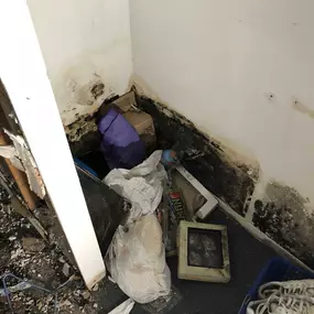 Bild von Restoration 1 Inland NW - Central WA