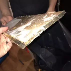 Bild von Restoration 1 Inland NW - Central WA