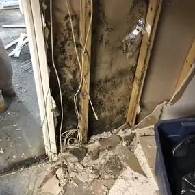 Bild von Restoration 1 Inland NW - Central WA