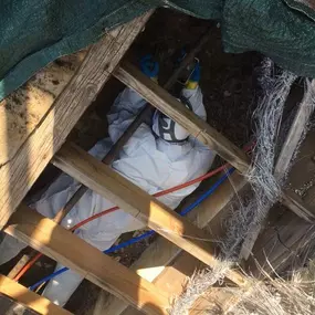 Bild von Restoration 1 Inland NW - Central WA