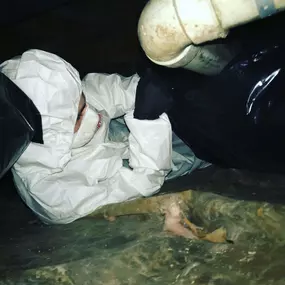 Bild von Restoration 1 Inland NW - Central WA