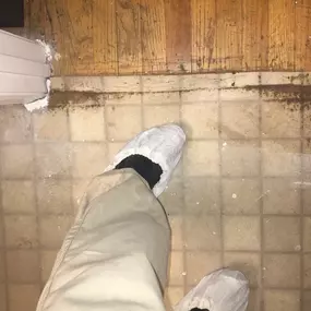 Bild von Restoration 1 Inland NW - Central WA