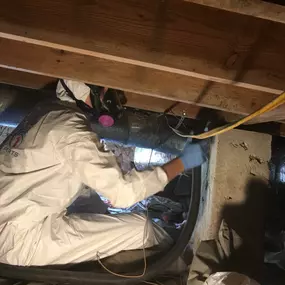 Bild von Restoration 1 Inland NW - Central WA