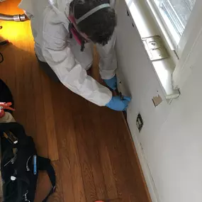 Bild von Restoration 1 Inland NW - Central WA